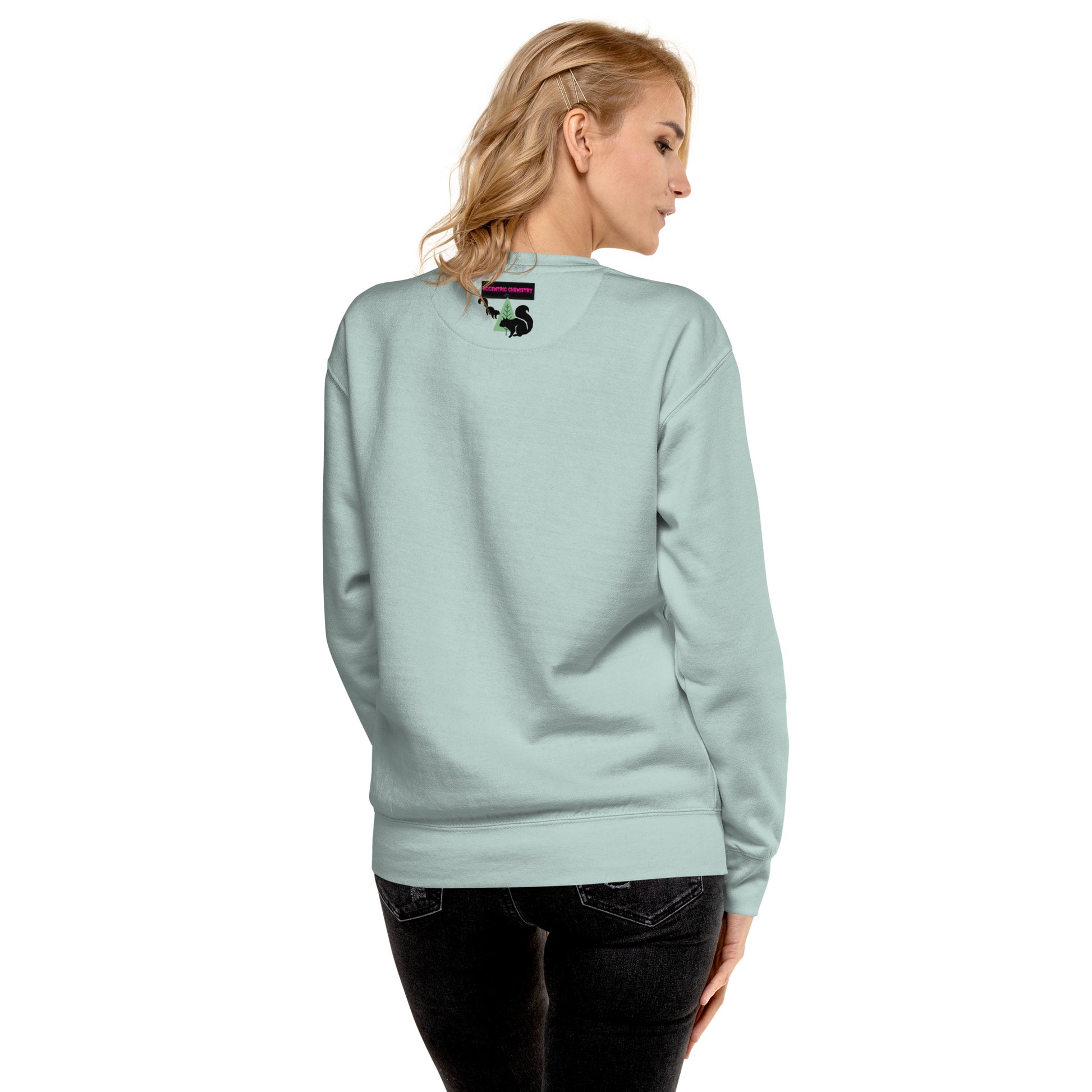Unisex premium sweatshirt featuring a flying squirrel graphic from Eccentric Chemistry’s Velocity Experiment collection, shown from the back.